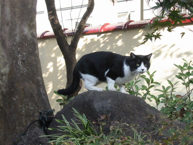 イメージ 1