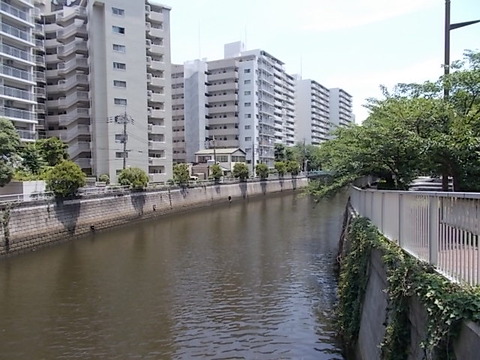 DSCN9076