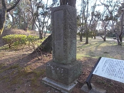 DSCN3188