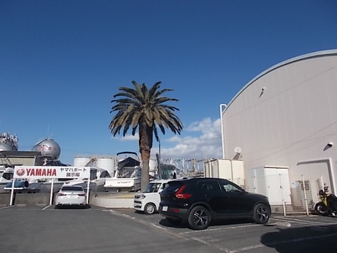 DSCN2185