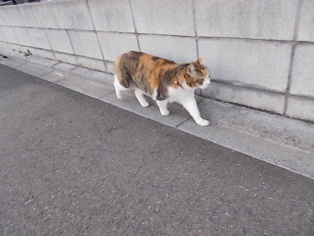 イメージ 2