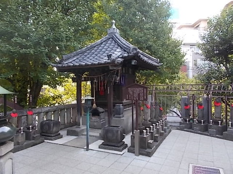 DSCN0368