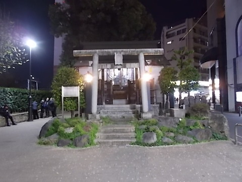 DSCN8550