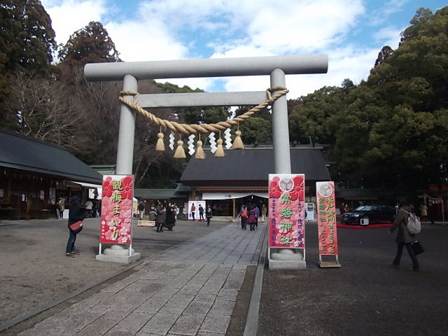 イメージ 7