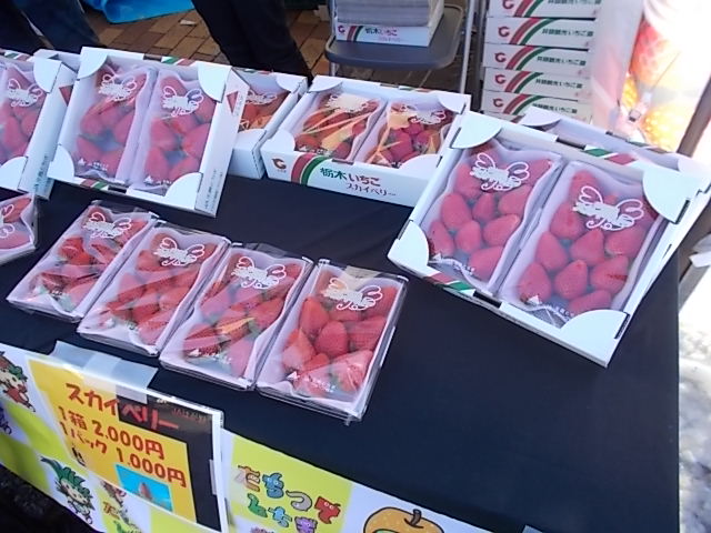 イメージ 10