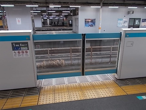 DSCN8433