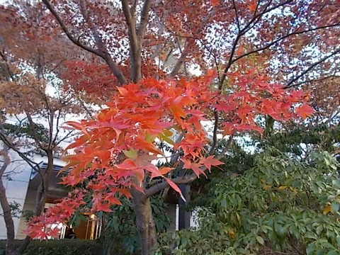 DSCN1521