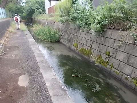 DSCN6702