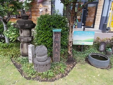 DSCN4184