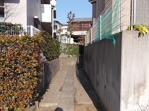 DSCN2158