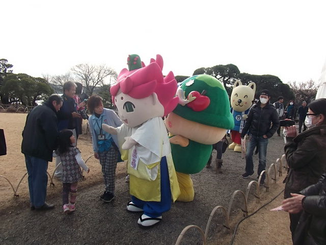 イメージ 6