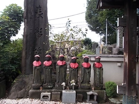 DSCN5521