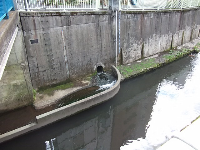 イメージ 2