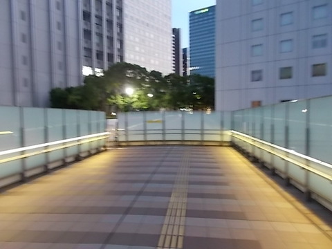 DSCN9110