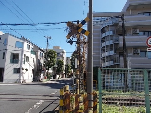 DSCN0792