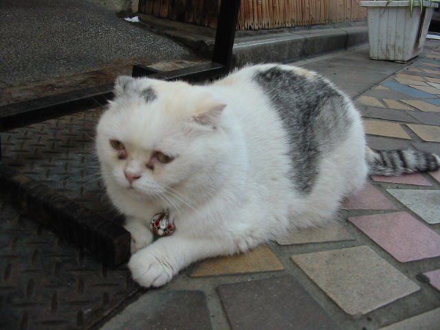 イメージ 4