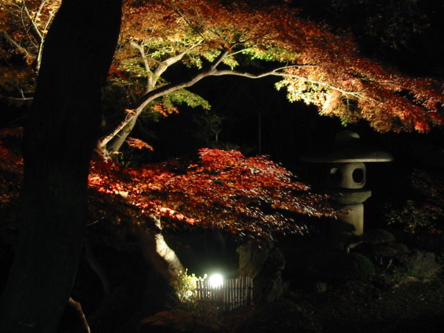 イメージ 6