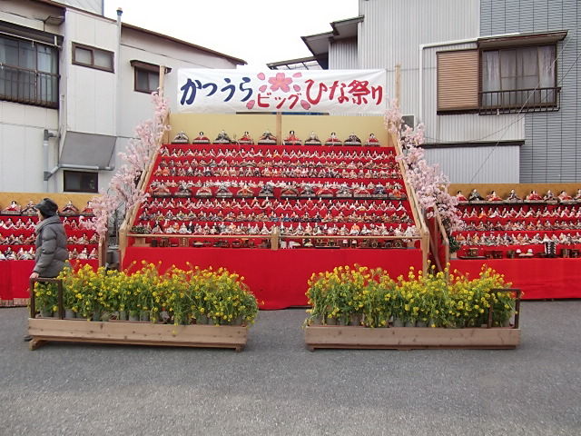 イメージ 5