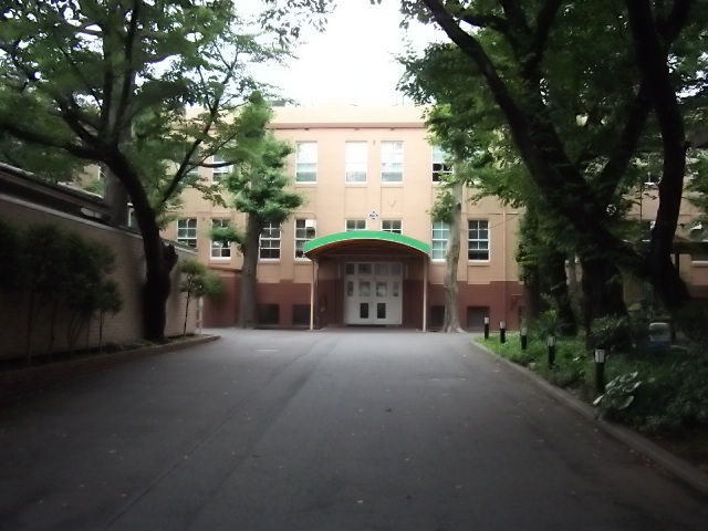 イメージ 5