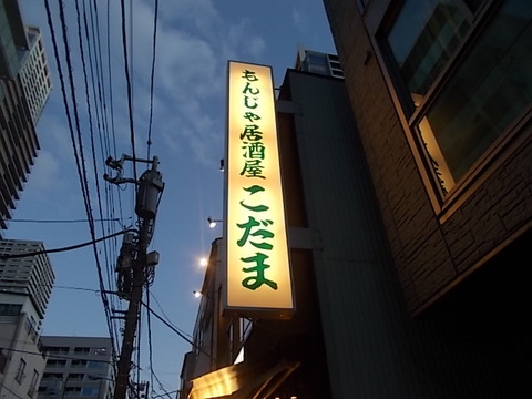 DSCN2333