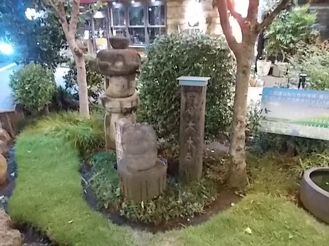 DSCN5921