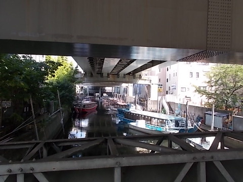 DSCN9774