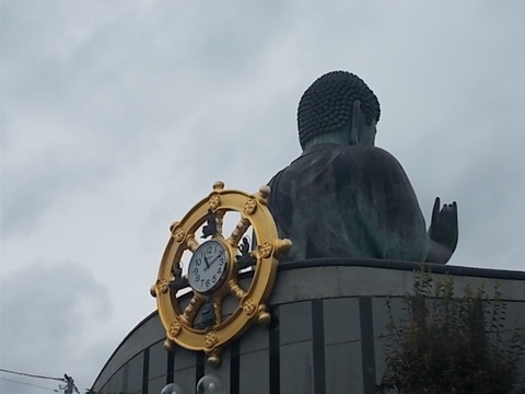 DSCN6587