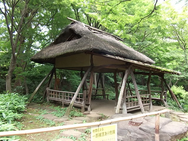 イメージ 8