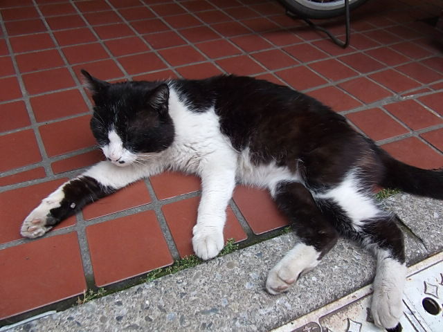 イメージ 6