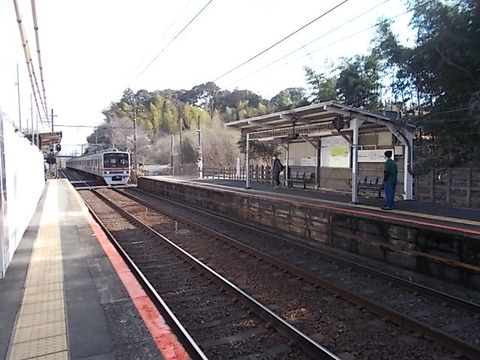 DSCN3021