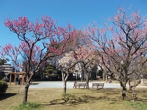 DSCN4921