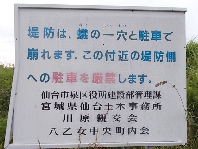 イメージ 27
