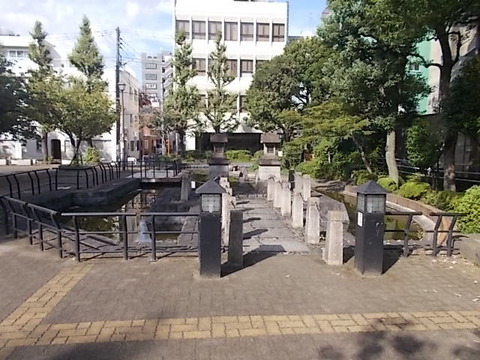 DSCN0354