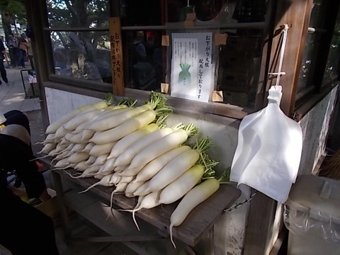 DSCN0369