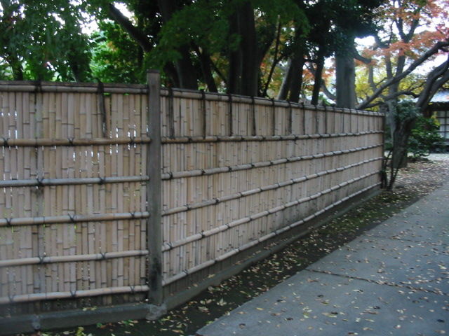 イメージ 6