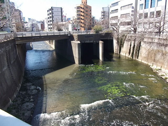 イメージ 5