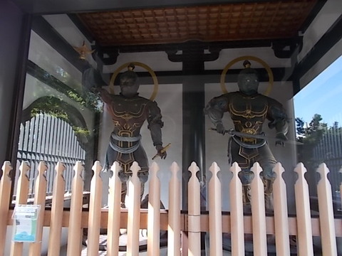 DSCN3069