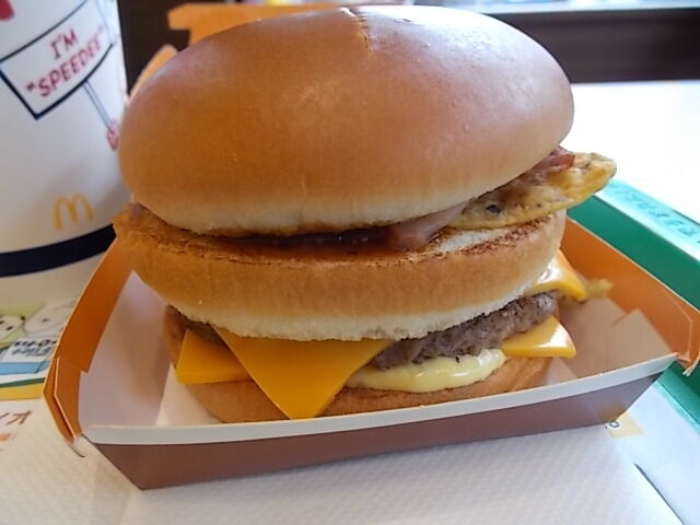 テキサスバーガー21 猫が寄ってきた Estacao Central 避難小屋