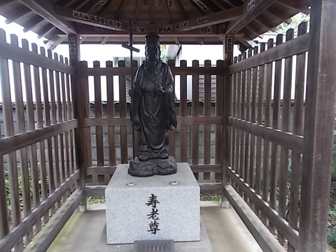 DSCN6539