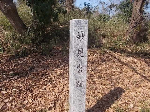 DSCN3095