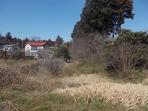 DSCN3125