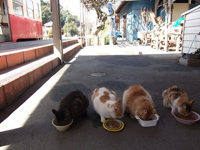 イメージ 6
