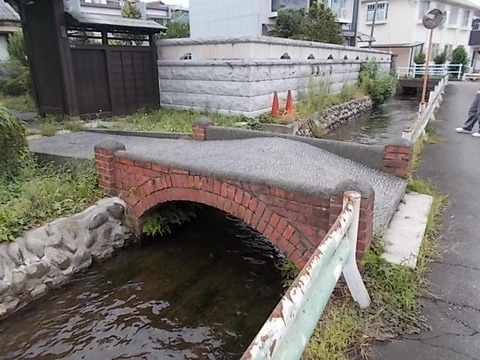 DSCN6568