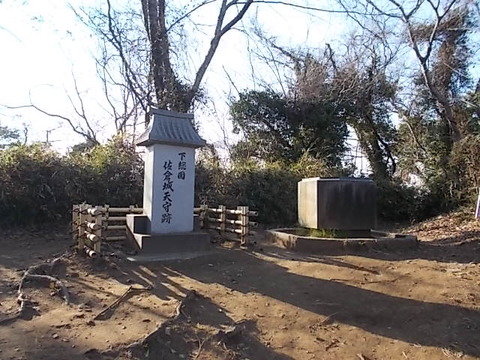 DSCN3181