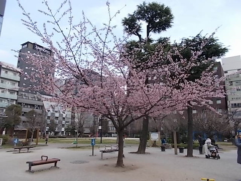 DSCN8414