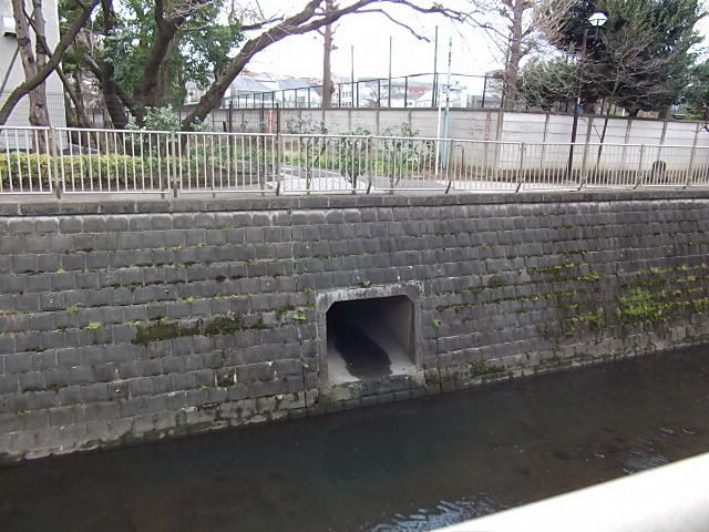 イメージ 5