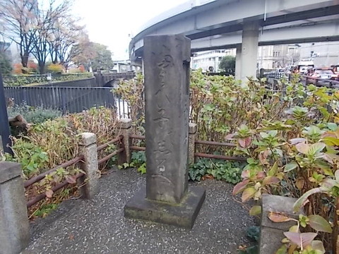 DSCN1781