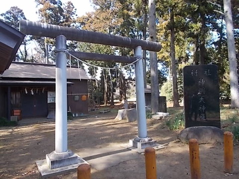 DSCN3113