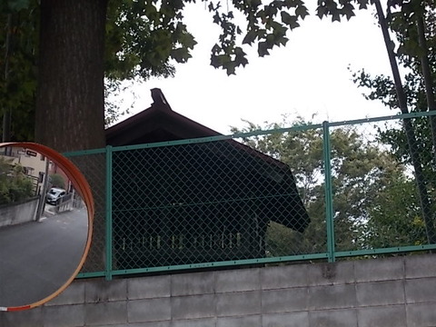 DSCN6629