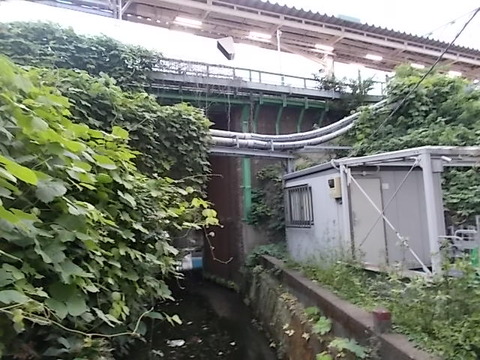 DSCN6713